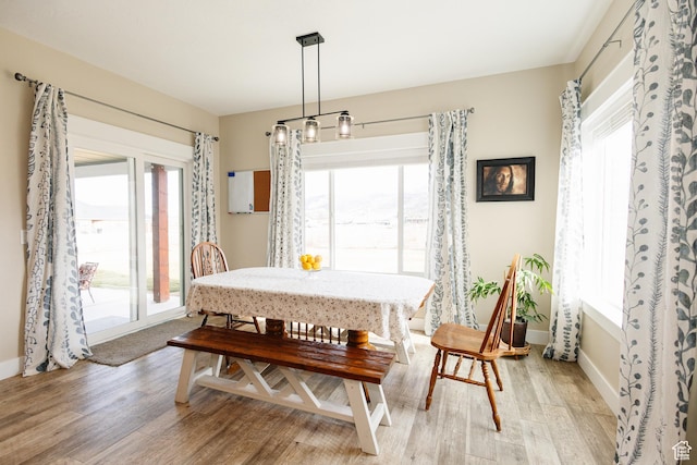 dining area featuring a wealth of natural light and light wood-type flooring