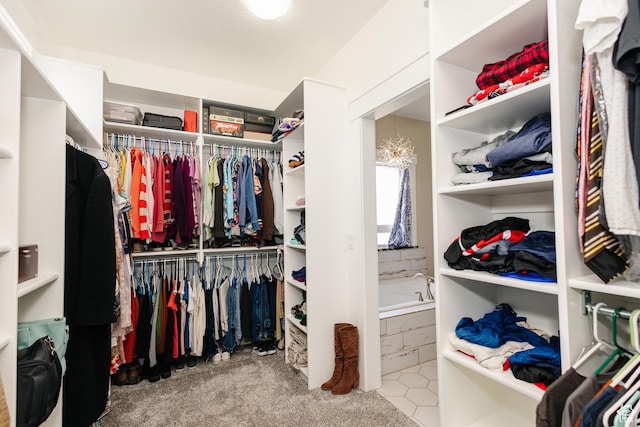 spacious closet featuring light colored carpet