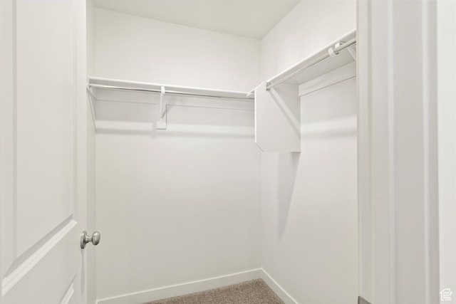1367 N Harper Way Unit 0248, Tooele, UT 84074 - walk in closet featuring carpet flooring