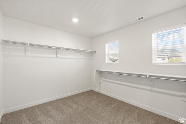 1367 N Harper Way Unit 0248, Tooele, UT 84074 - walk in closet featuring carpet flooring