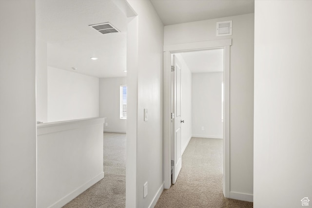 1367 N Harper Way Unit 0248, Tooele, UT 84074 - corridor with carpet floors and baseboards
