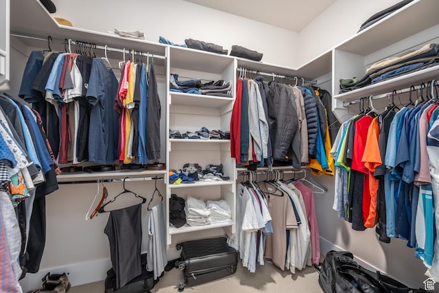 5629 S Adobe Sun Dr, St George, UT 84790 - walk in closet with carpet