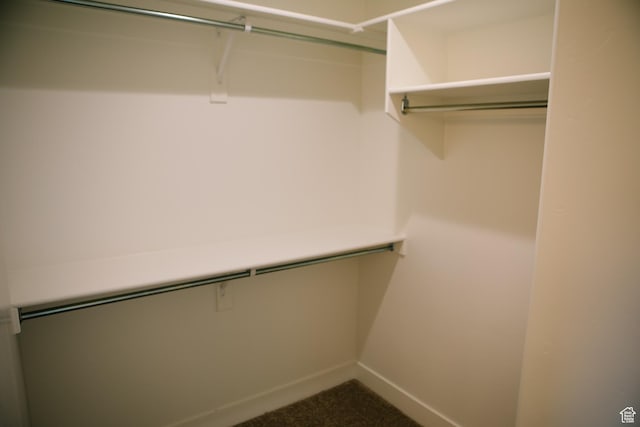 walk in closet featuring carpet floors