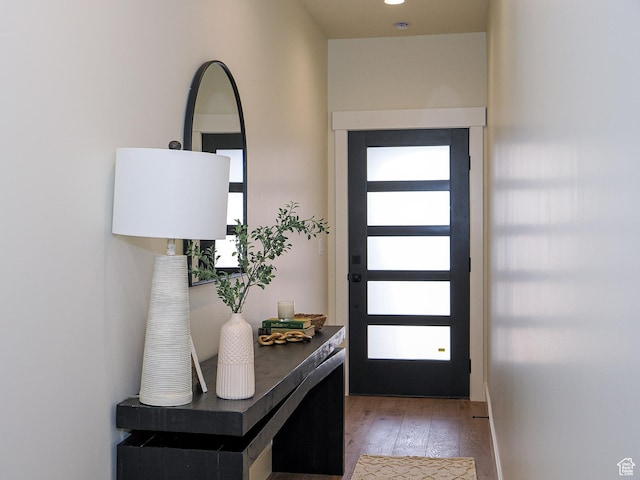 entryway featuring plenty of natural light and wood finished floors