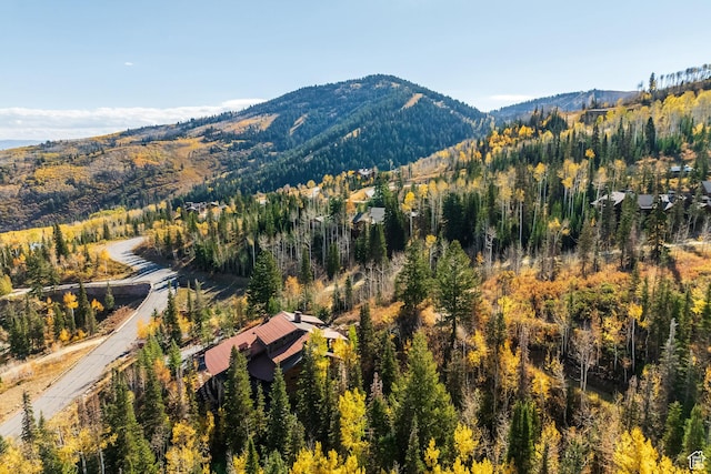 26 White Pine Canyon Rd, Park City, UT 84060 - mountain view
