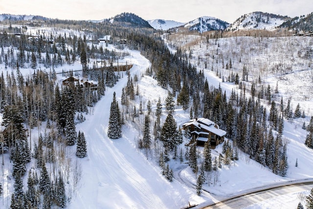 26 White Pine Canyon Rd, Park City, UT 84060 - snowy aerial view with a mountain view