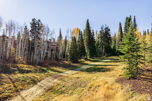 26 White Pine Canyon Rd, Park City, UT 84060 - view of nature
