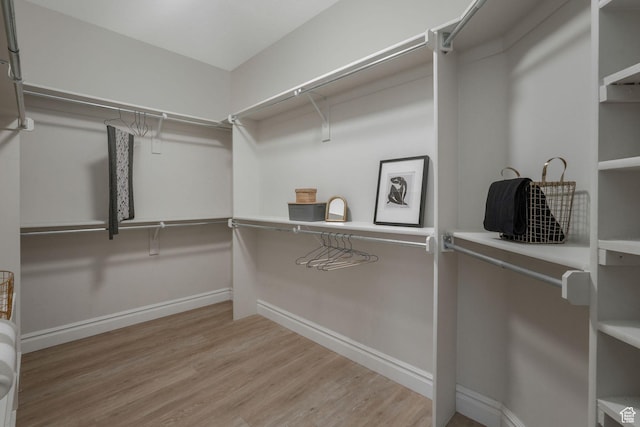 13234 S Lone Rock Dr E, Draper, UT 84020 - walk in closet with wood-type flooring