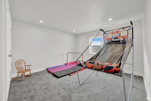 1021 N 600 E, Morgan, UT 84050 - recreation room with carpet flooring, baseboards, and recessed lighting