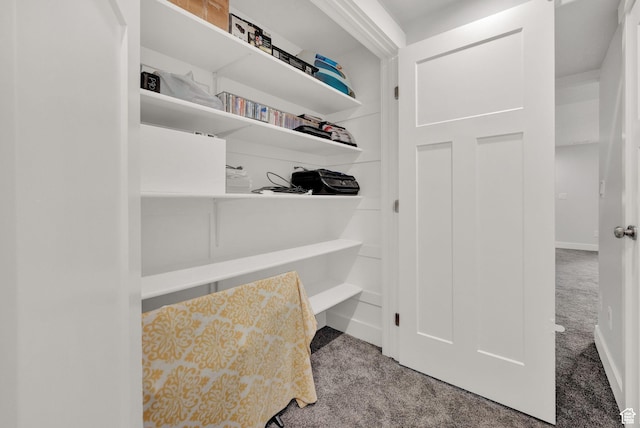 1021 N 600 E, Morgan, UT 84050 - view of pantry