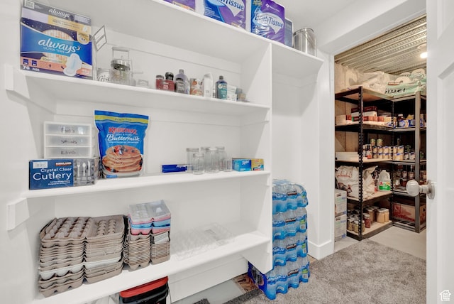 1021 N 600 E, Morgan, UT 84050 - view of pantry