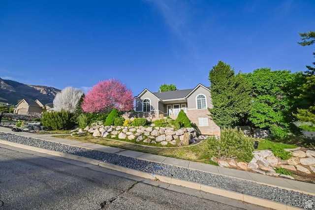 3568 N 500 E, North Ogden, UT 84414 - view of front of house featuring stucco siding and a mountain view