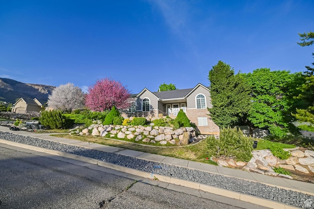 3568 N 500 E, North Ogden, UT 84414 - view of front of property with stucco siding and a mountain view