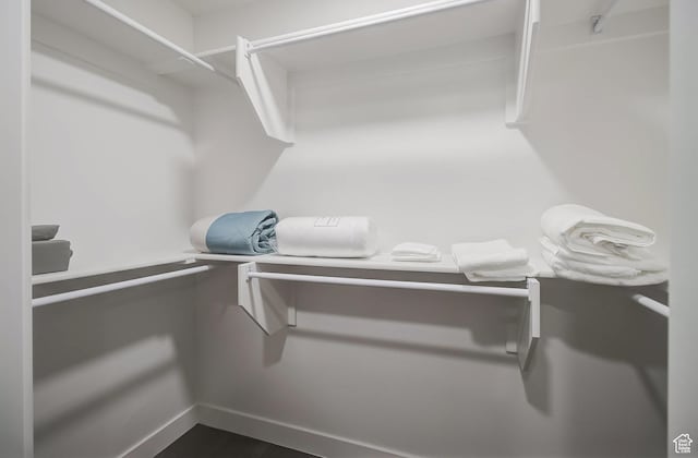 6495 Serviceberry Dr Unit B205, Park City, UT 84098 - view of spacious closet