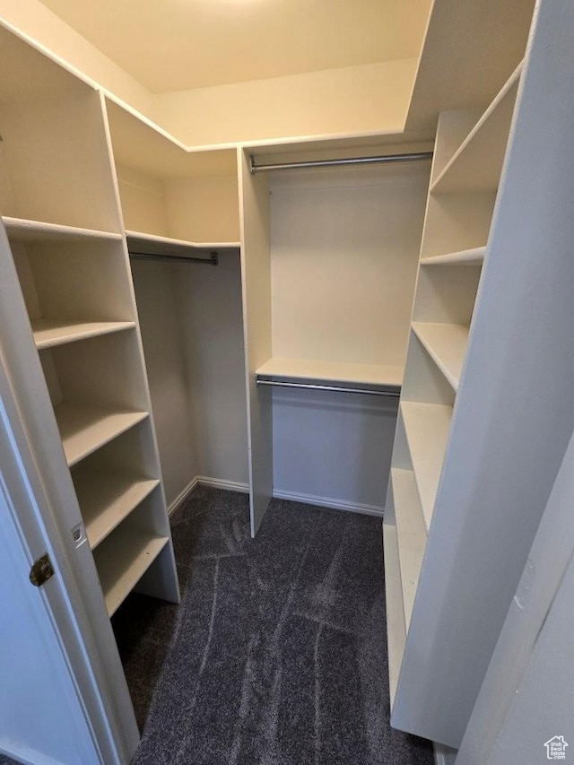 11075 S Grape Arbor Pl E Unit 103, Sandy, UT 84070 - spacious closet with dark colored carpet
