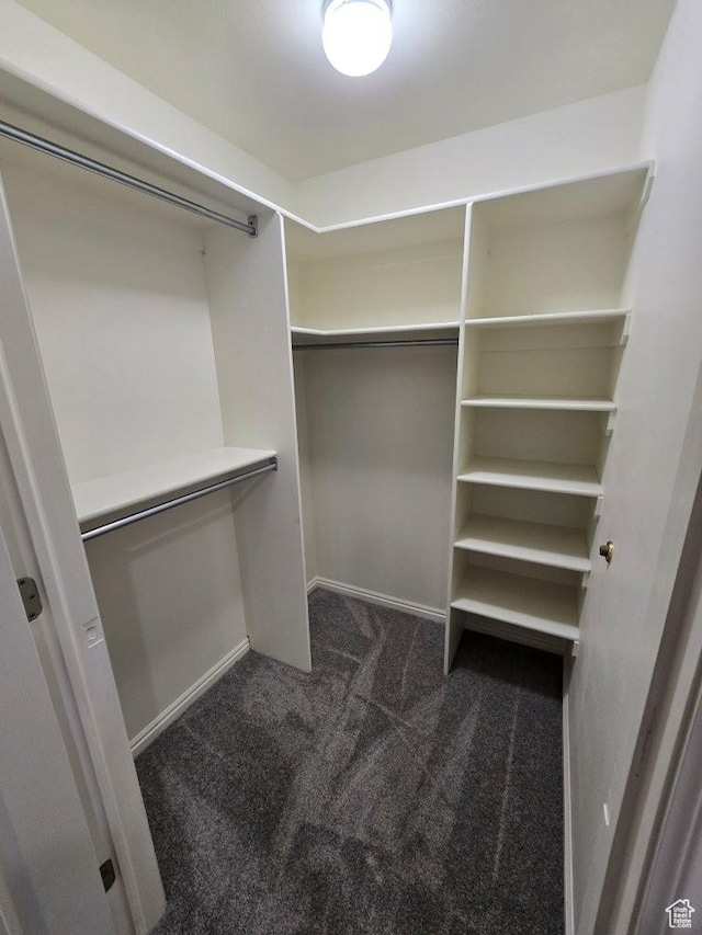 11075 S Grape Arbor Pl E Unit 103, Sandy, UT 84070 - walk in closet with dark colored carpet
