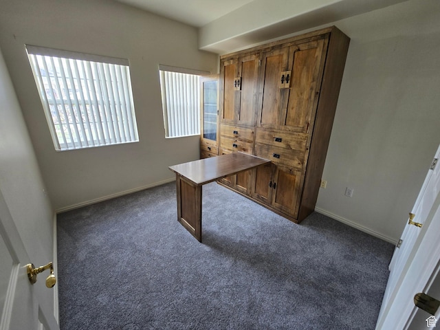 11075 S Grape Arbor Pl E Unit 103, Sandy, UT 84070 - unfurnished office featuring dark colored carpet and baseboards