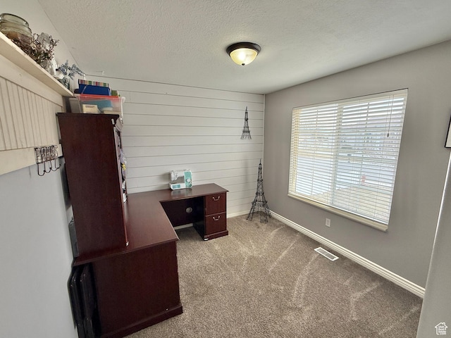 952 W 675 N, Tremonton, UT 84337 - office area with carpet and a textured ceiling