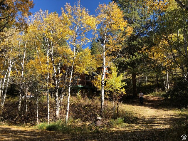 51 Aspen Loop 51&52, Oakley, UT 84055 - view of local wilderness