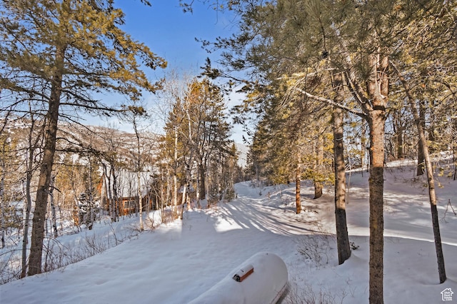 51 Aspen Loop 51&52, Oakley, UT 84055 - view of yard covered in snow