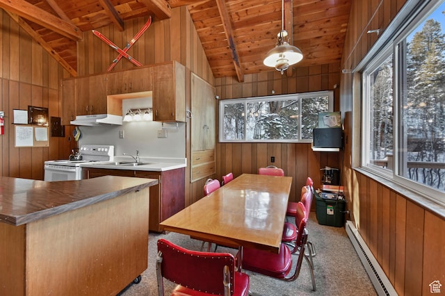 51 Aspen Loop 51&52, Oakley, UT 84055 - dining room featuring wood ceiling, baseboard heating, wooden walls, plenty of natural light, and carpet flooring