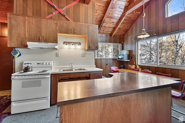 51 Aspen Loop 51&52, Oakley, UT 84055 - kitchen featuring white electric stove, under cabinet range hood, carpet, wood walls, and wooden ceiling