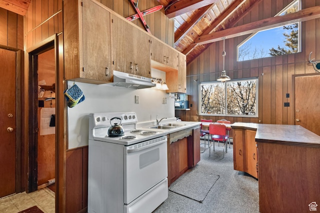 51 Aspen Loop 51&52, Oakley, UT 84055 - kitchen with white range with electric stovetop, under cabinet range hood, wood walls, wood ceiling, and brown cabinetry