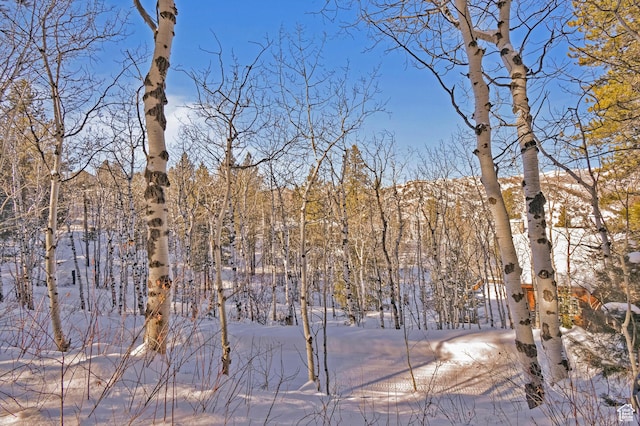 51 Aspen Loop 51&52, Oakley, UT 84055 - view of yard covered in snow