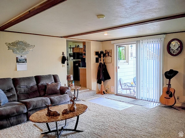 living area featuring crown molding and carpet flooring