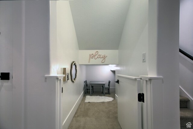 585 N Amber Ln, Garden City, UT 84028 - bathroom with lofted ceiling