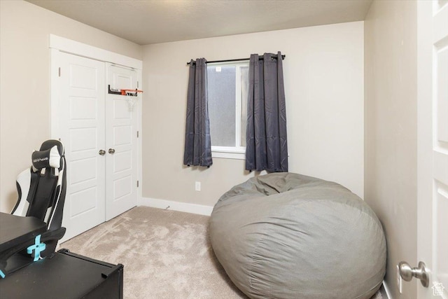 office with light carpet