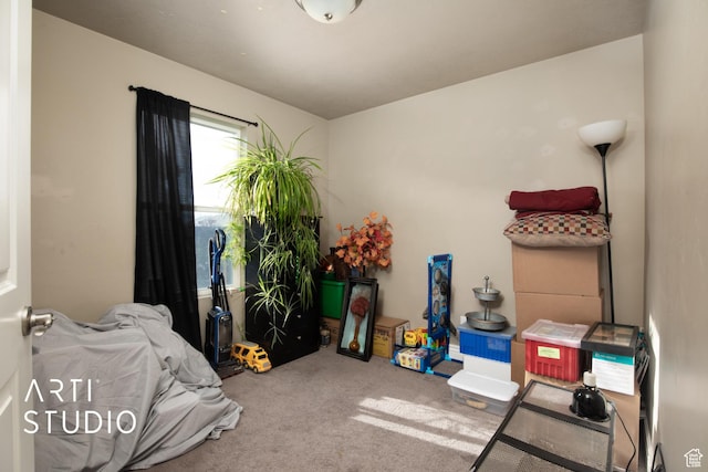 bedroom with carpet flooring