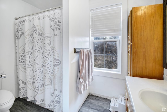 60 S 100 W, Monroe, UT 84754 - bathroom featuring vanity, hardwood / wood-style flooring, toilet, and curtained shower