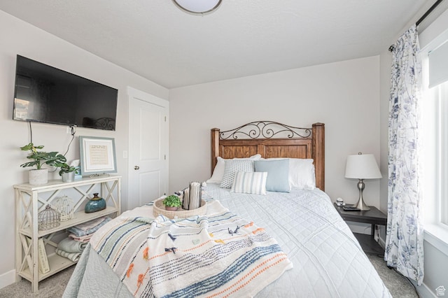 638 E Canyon Rim Rd N, Smithfield, UT 84335 - view of carpeted bedroom