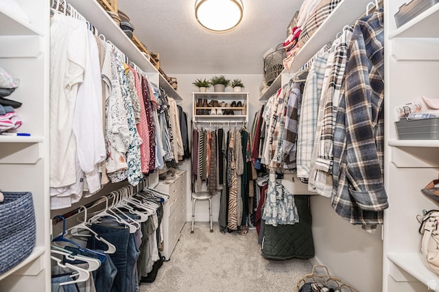 638 E Canyon Rim Rd N, Smithfield, UT 84335 - walk in closet with carpet floors