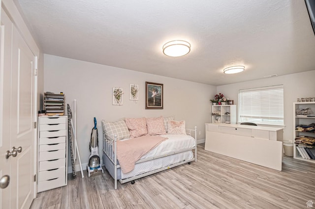 638 E Canyon Rim Rd N, Smithfield, UT 84335 - living room featuring a textured ceiling and light wood-type flooring