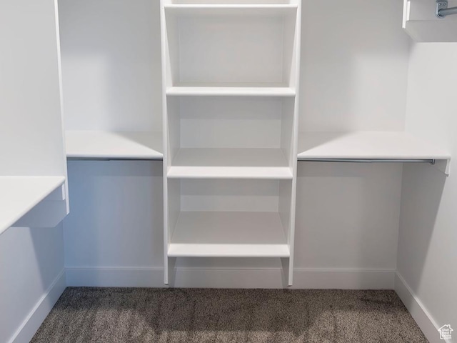 spacious closet with carpet flooring