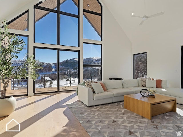 living room featuring light wood-type flooring, a mountain view, and a high ceiling