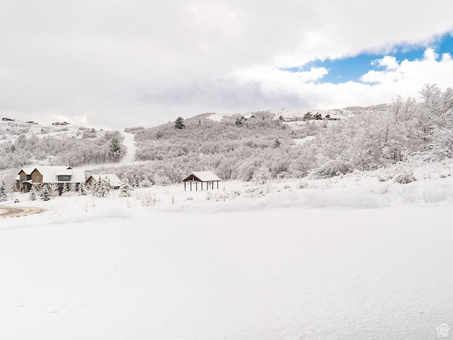 view of yard covered in snow