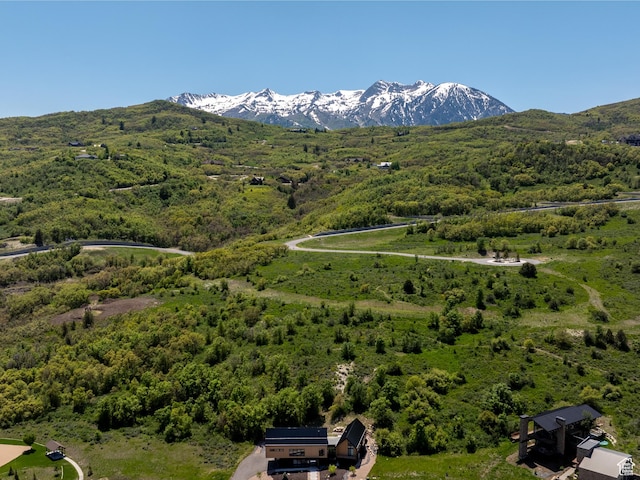 1113 S Quail Holw E, Huntsville, UT 84317 - bird's eye view of a mountain backdrop and a forest