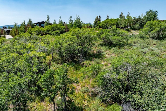 1146 Snow Berry St Unit 62, Park City, UT 84098 - photo 71