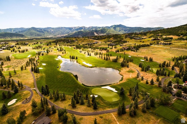 1146 Snow Berry St Unit 62, Park City, UT 84098 - photo 42