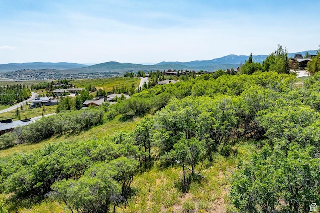 1146 Snow Berry St Unit 62, Park City, UT 84098 - photo 69