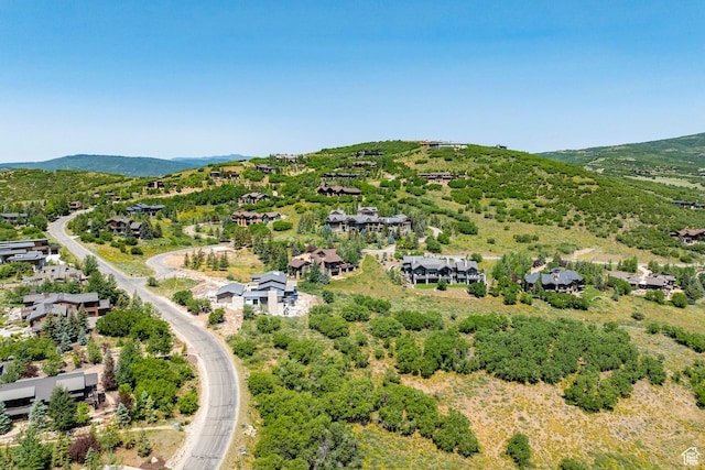 1146 Snow Berry St Unit 62, Park City, UT 84098 - photo 66