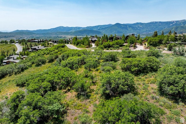 1146 Snow Berry St Unit 62, Park City, UT 84098 - photo 6