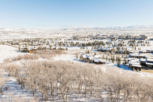 1146 Snow Berry St Unit 62, Park City, UT 84098 - snowy aerial view with a mountain view