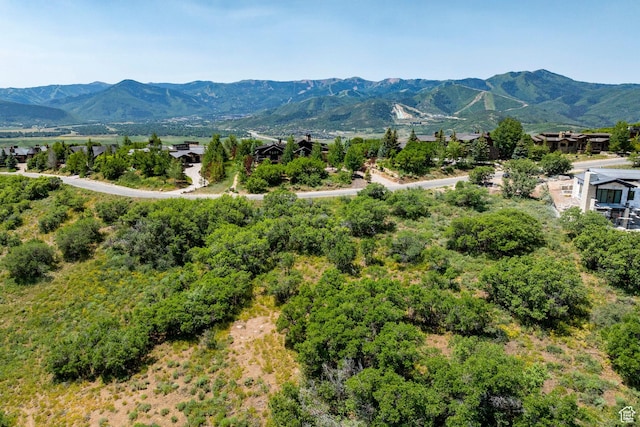 1146 Snow Berry St Unit 62, Park City, UT 84098 - photo 60