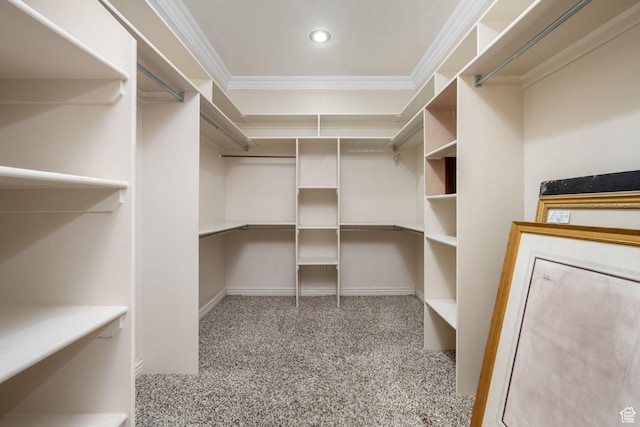 walk in closet with carpet