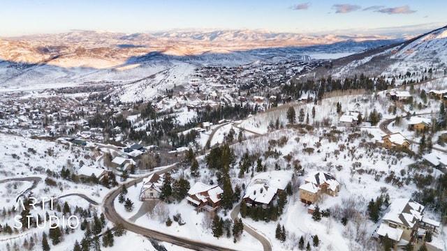 7352 Pine Dr, Park City, UT 84098 - photo 42