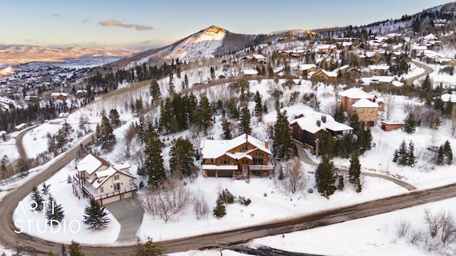 7352 Pine Dr, Park City, UT 84098 - snowy aerial view with a mountain view